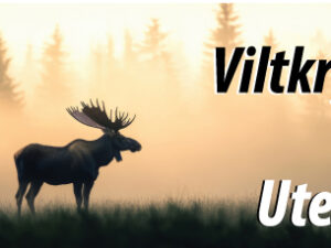 Viltkrydder uten salt pakket på pappboks